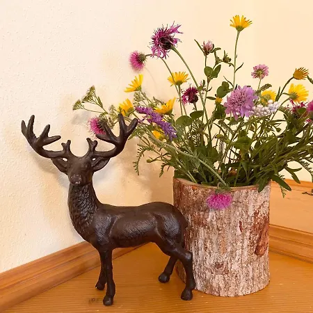 Gaestehaus Arnspitzblick שארניץ