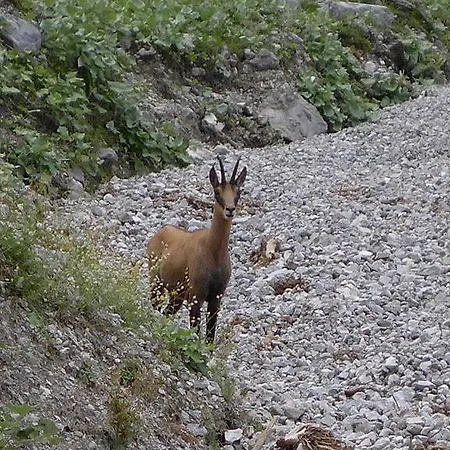 Arnspitzblick Scharnitz