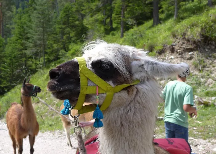 Gaestehaus Arnspitzblick Pensjonat 3*