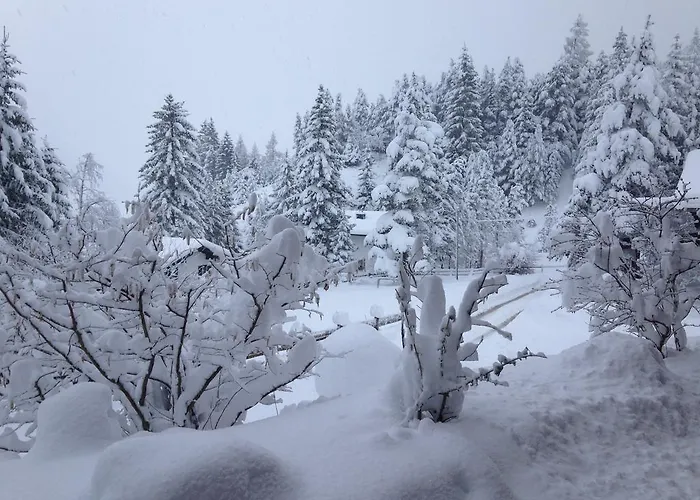 Gaestehaus Arnspitzblick 3*