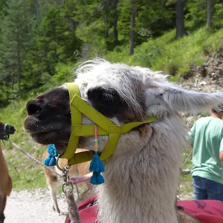 Gaestehaus Arnspitzblick Pensión 3*