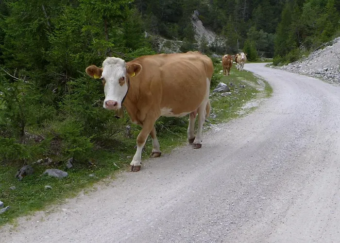 Gaestehaus Arnspitzblick Scharnitz