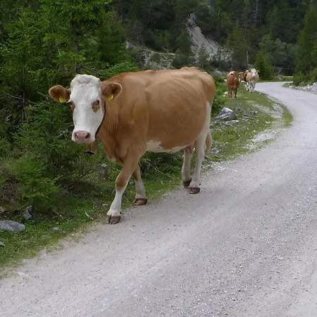 Gaestehaus Arnspitzblick Scharnitz